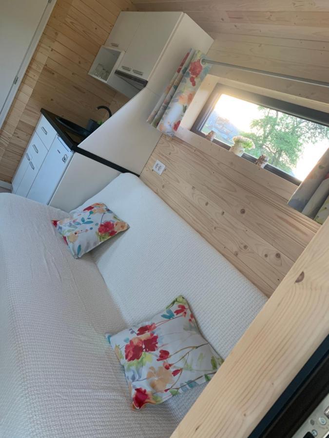 La Casuta Din Ciocanesti Exclusive 외부 사진